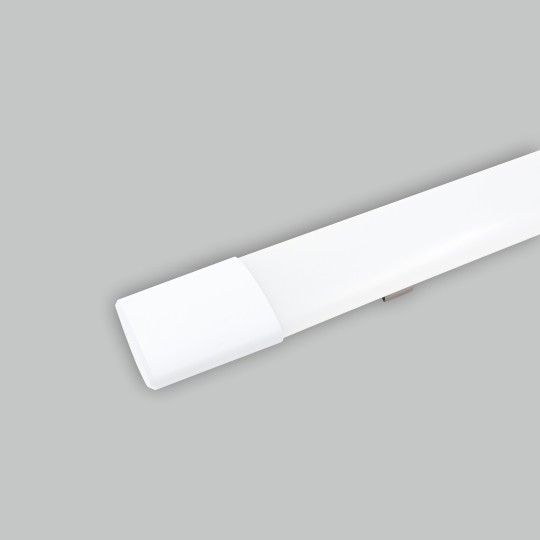 10927_20221205141754579