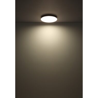 12384-50W-s
