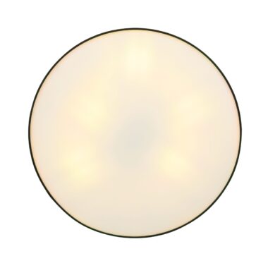 15229D6-d-scaled-1