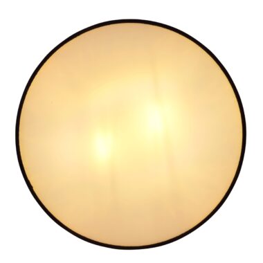 15334D1-d-scaled-2