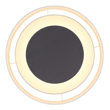15529D1-d-scaled-1
