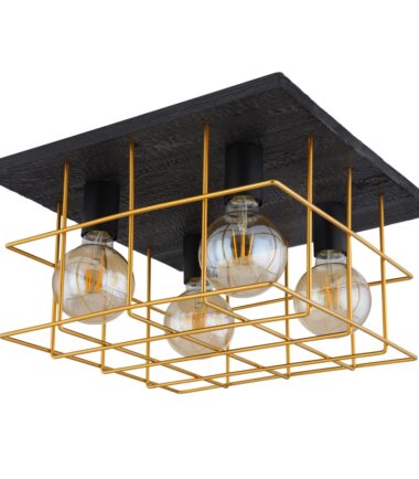 15530B-4D-b-scaled-1