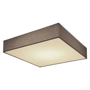 15585D3-a-scaled-2