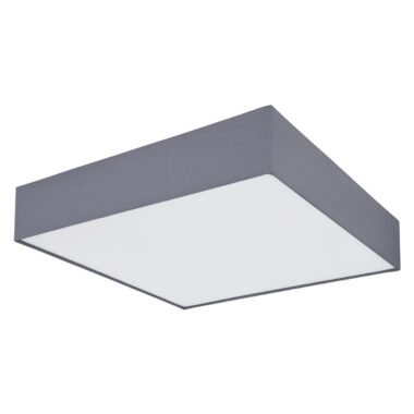 15585D3-b-scaled-2