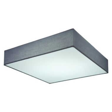 15585D3-g-scaled-2