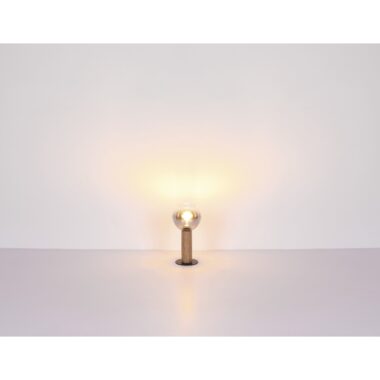 15656-4D1-t