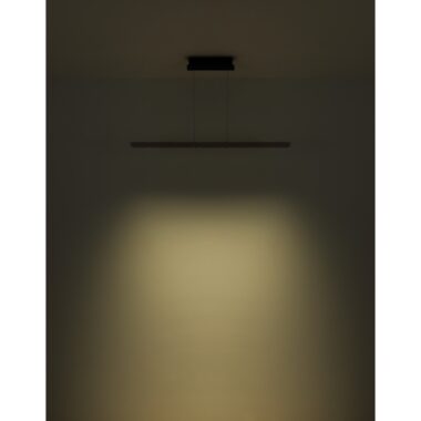 17013H1B-s