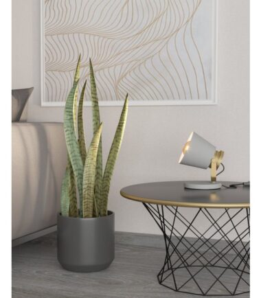 611228f46e1275.02644087-120-0001