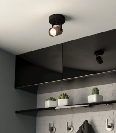 61247be43fe502.77533928_120_0001