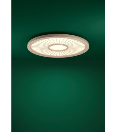 618b7df7758668.52317871_120_0001