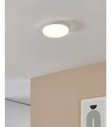 65002705d49665.29930319_112_0001