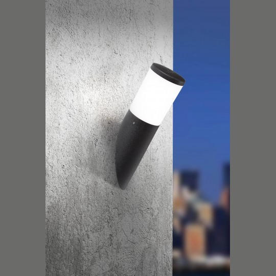 13462_20240116120132748