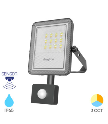 1 BRY-FLOOD-PF-10W-SIVI-3U1-SNS-IP65-LED REFLEKTOR BT65-21082