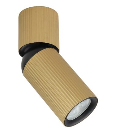 Plafonska lampa AFS117-1C SG