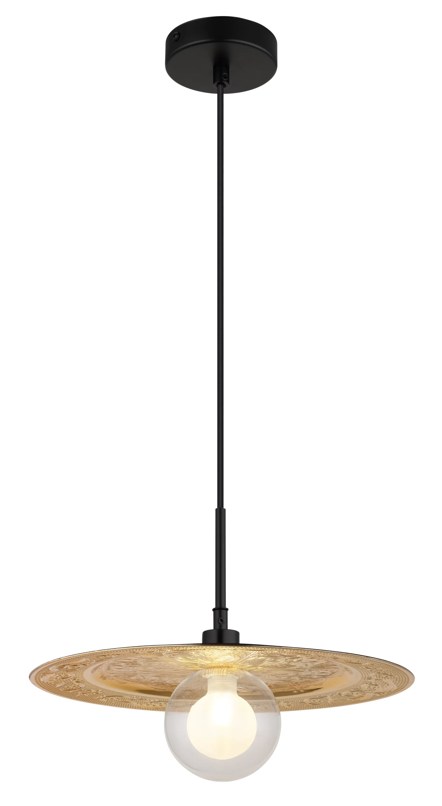 15169G_a-scaled
