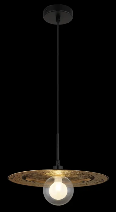 15169G_ax-scaled