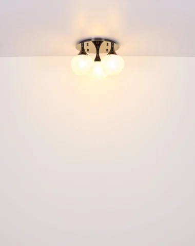 15548-3DW_t