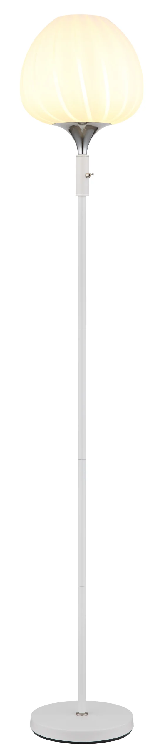 15548S2W_a-scaled