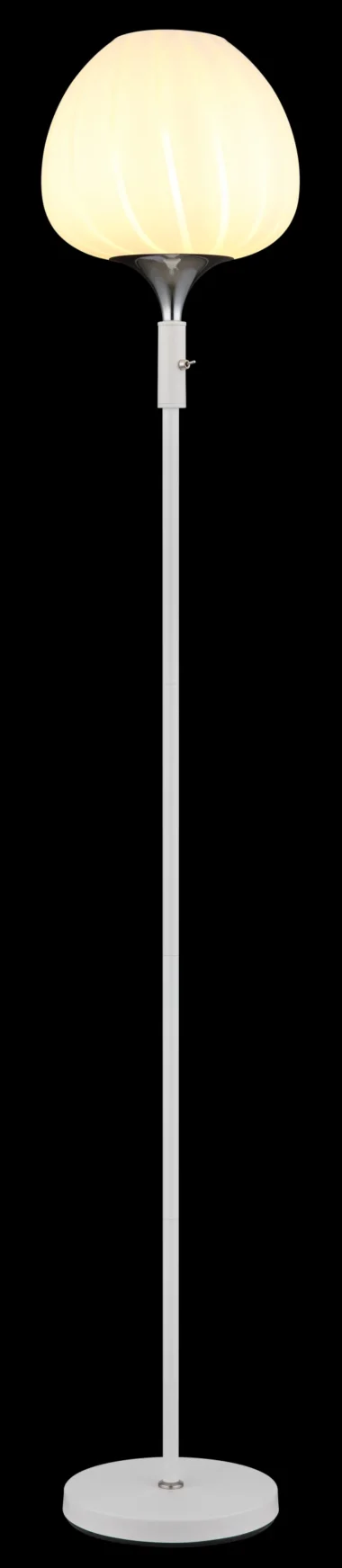 15548S2W_ax-scaled