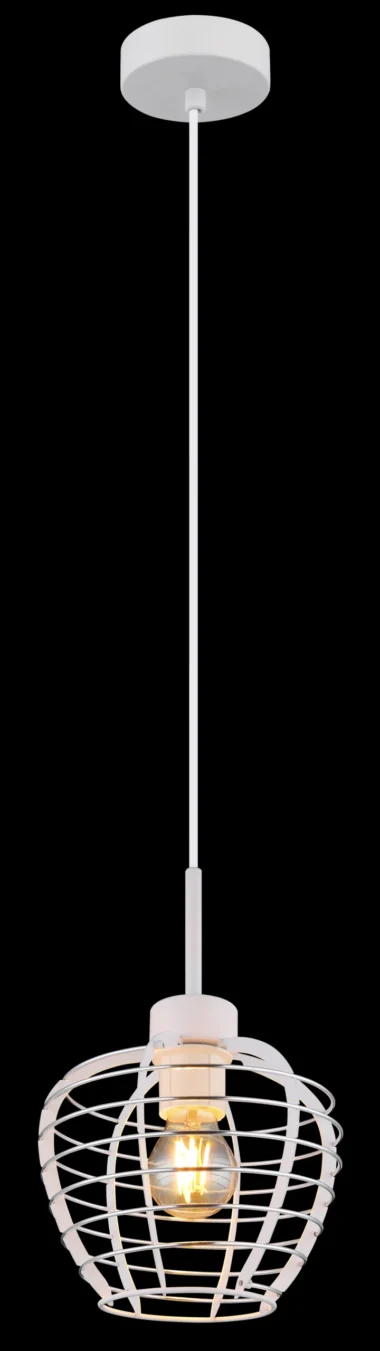 15932H_ax-scaled