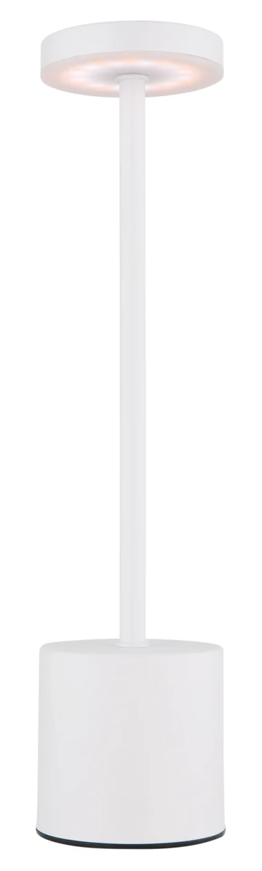 210190W_nm-scaled