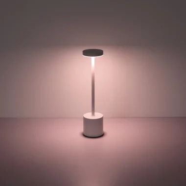 210190W_s