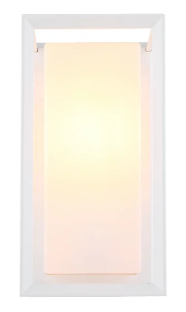 31982W_c-scaled