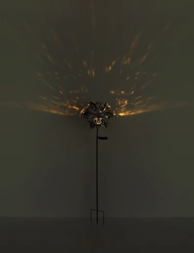 36578_s