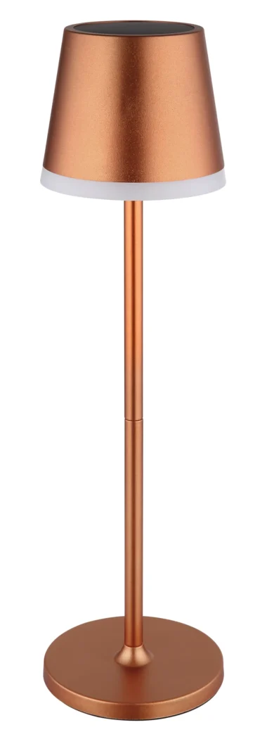 36637RM_b-scaled