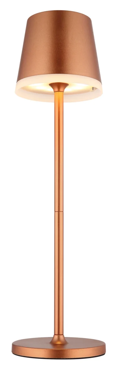 36637RM_c-scaled