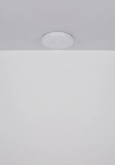 41264_u-scaled