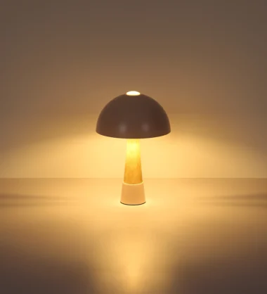 51070121_s