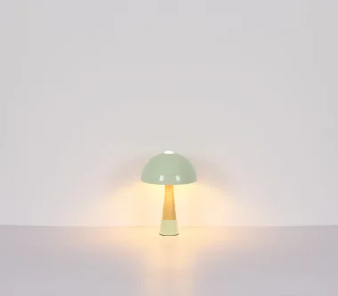 51570114_t