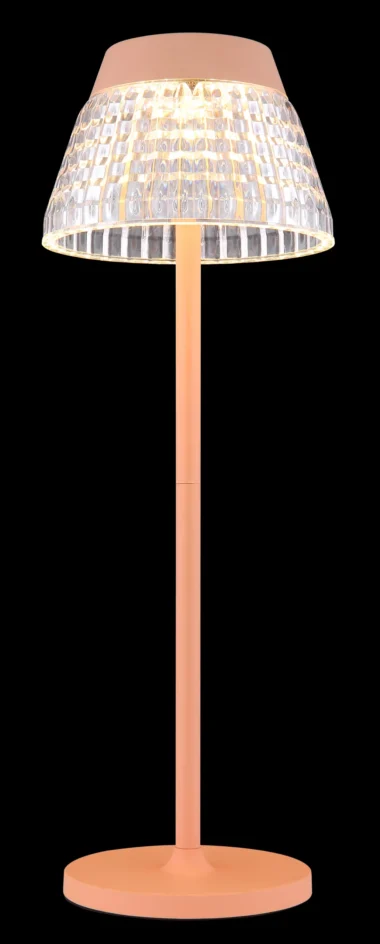 58456P_cx-scaled