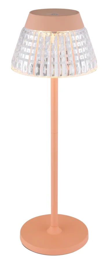 58456P_nm-scaled