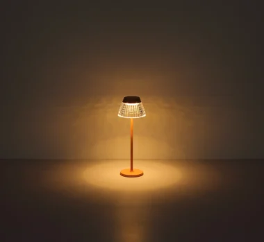 58456P_s