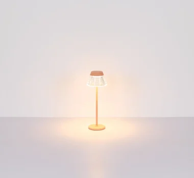 58456P_t