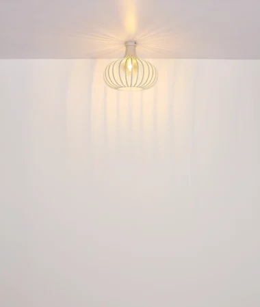 63370119_t