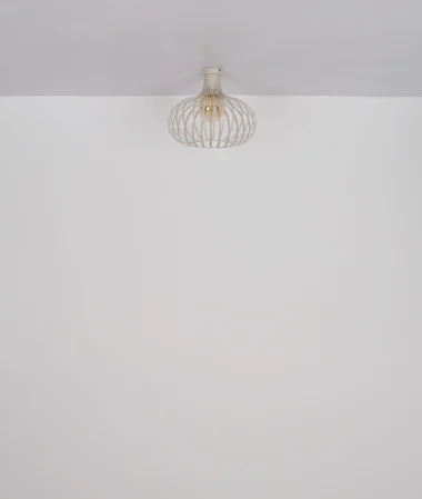63370119_u