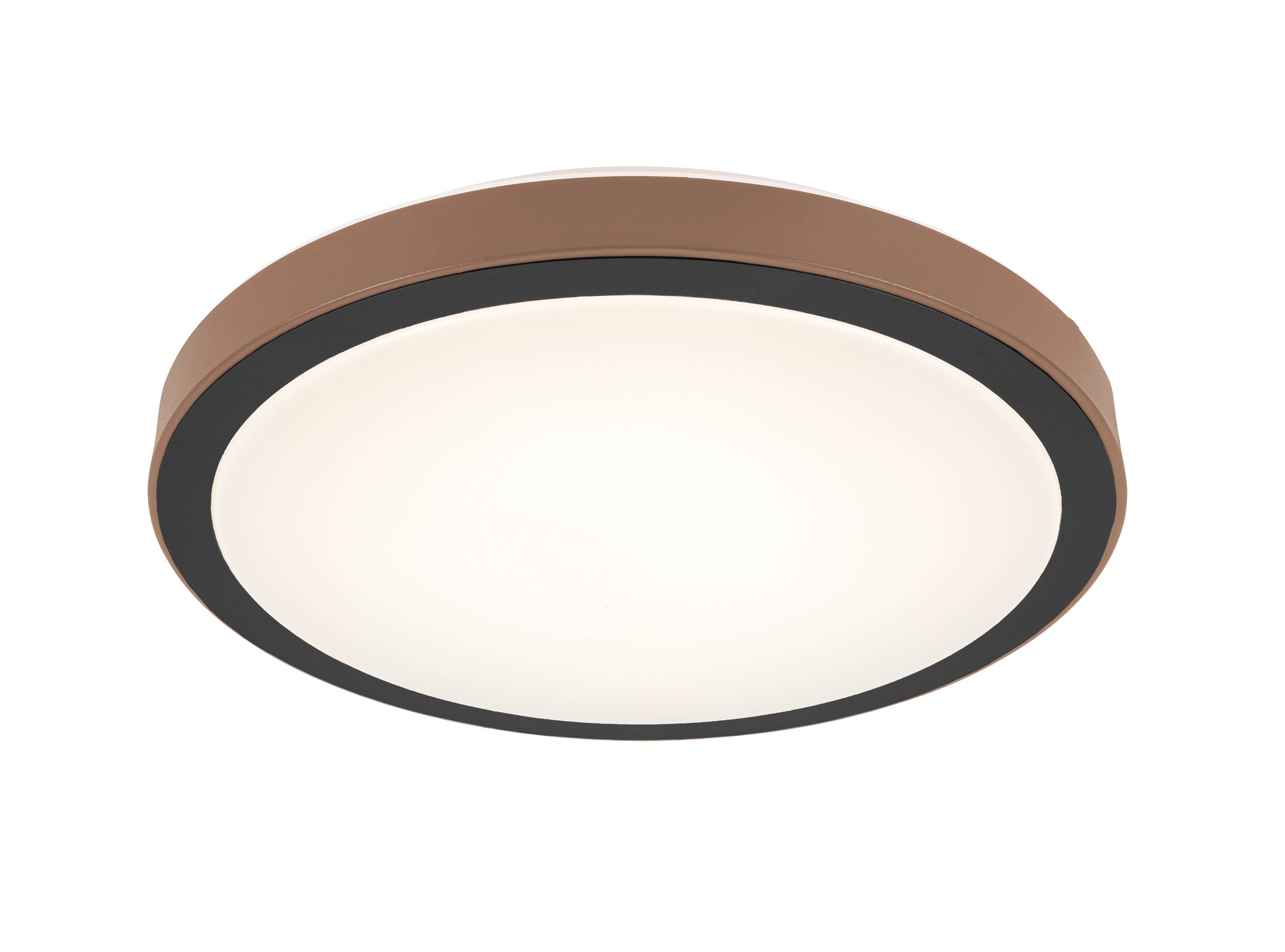 C16116SB_746407_pic1-scaled