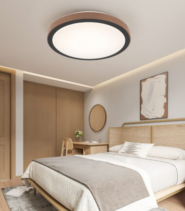 C16116SB_746407_pic9_Milieu