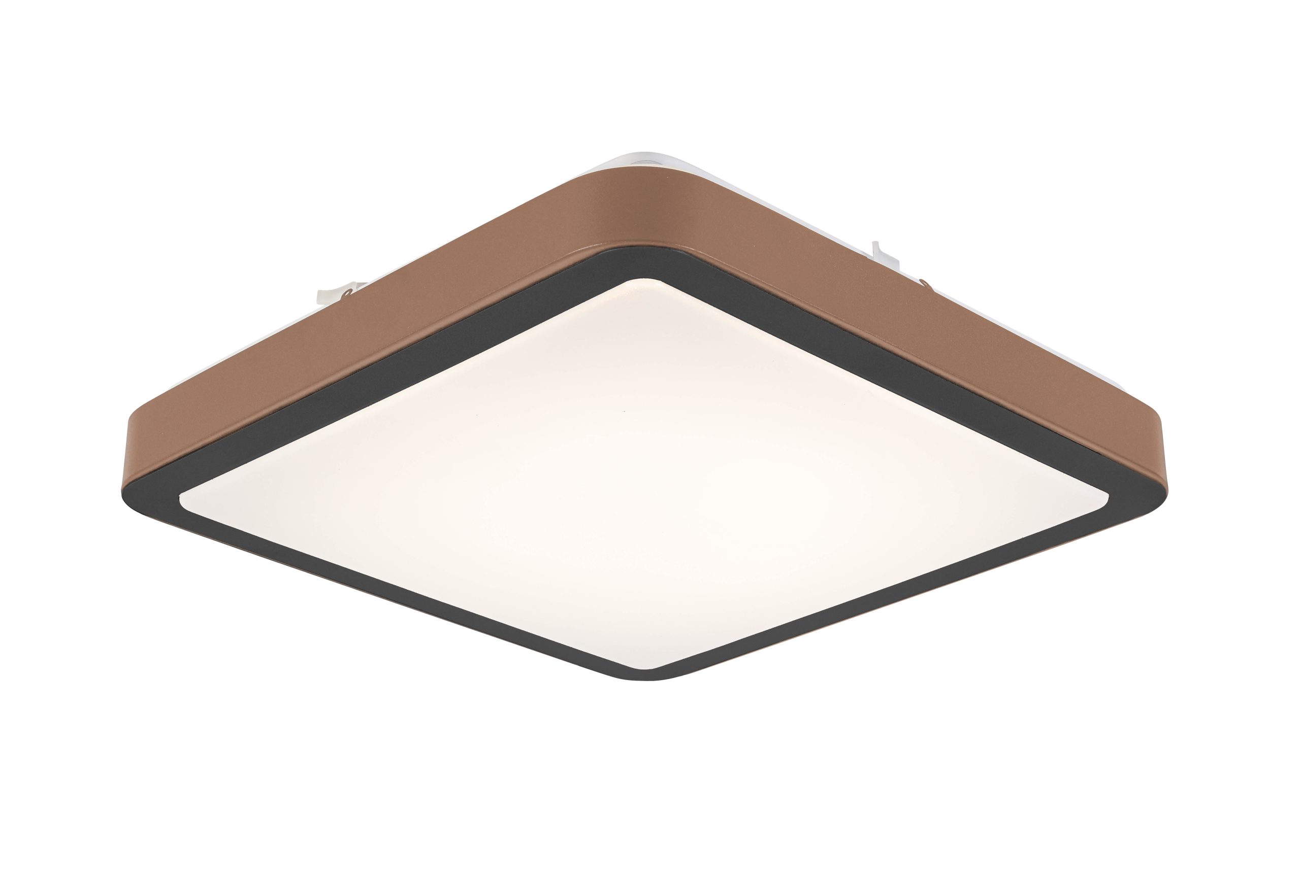 C16117SB_746409_pic1-scaled