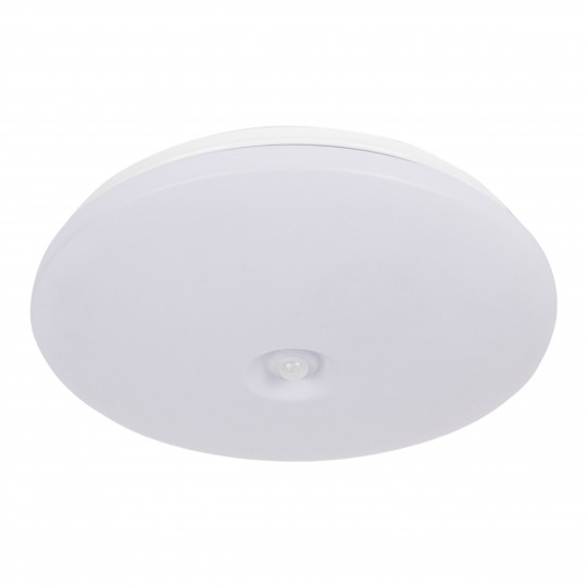 13502_20240205091923300