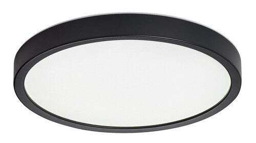 75081